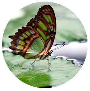 change management at workplace - best practice - www.labourflaws.com