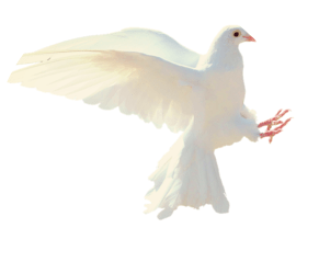 the danger of empaths at the workplace and how to avert them - labourflaws.com - pixabay